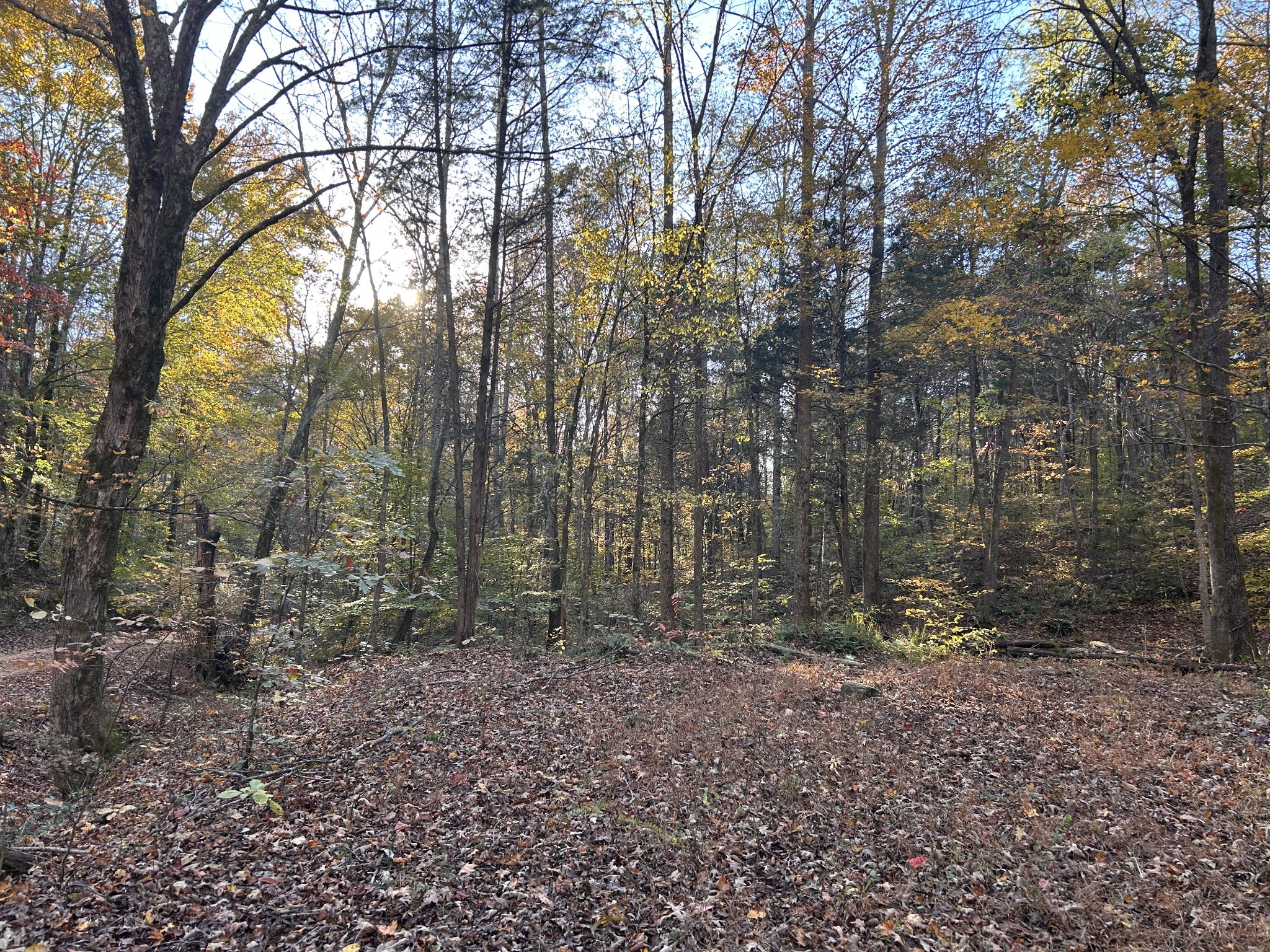 7111 Wink Parker Rd Property Photo 8