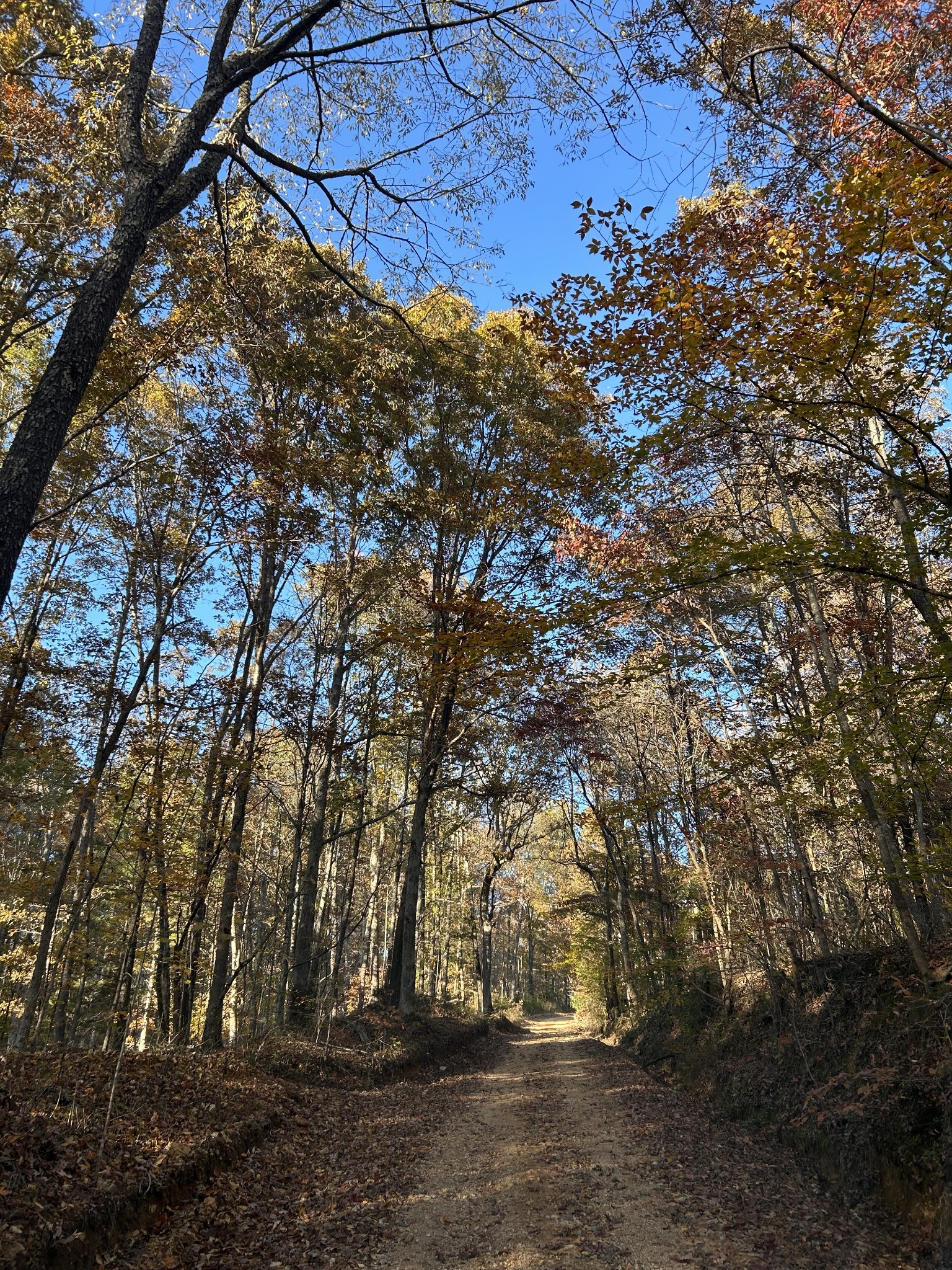 7111 Wink Parker Rd Property Photo 9