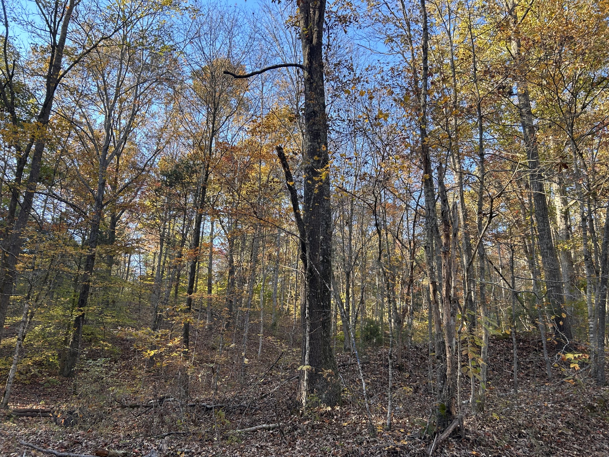 7111 Wink Parker Rd Property Photo 10