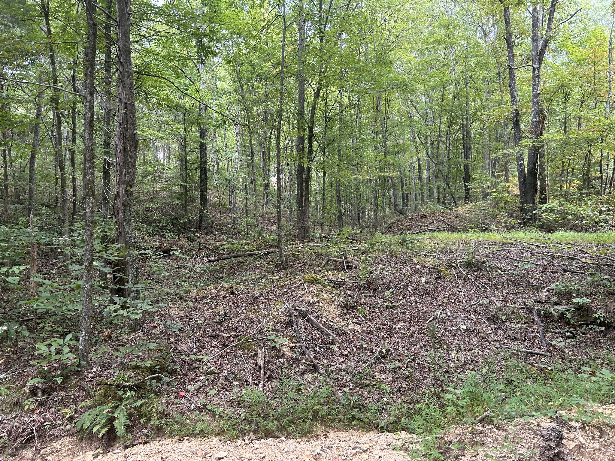 7111 Wink Parker Rd Property Photo 33