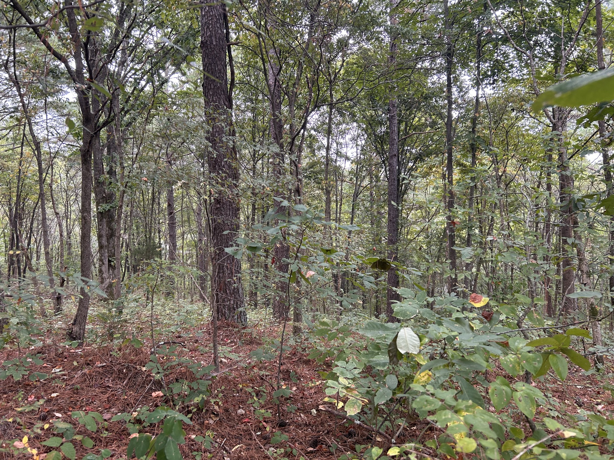 7111 Wink Parker Rd Property Photo 35