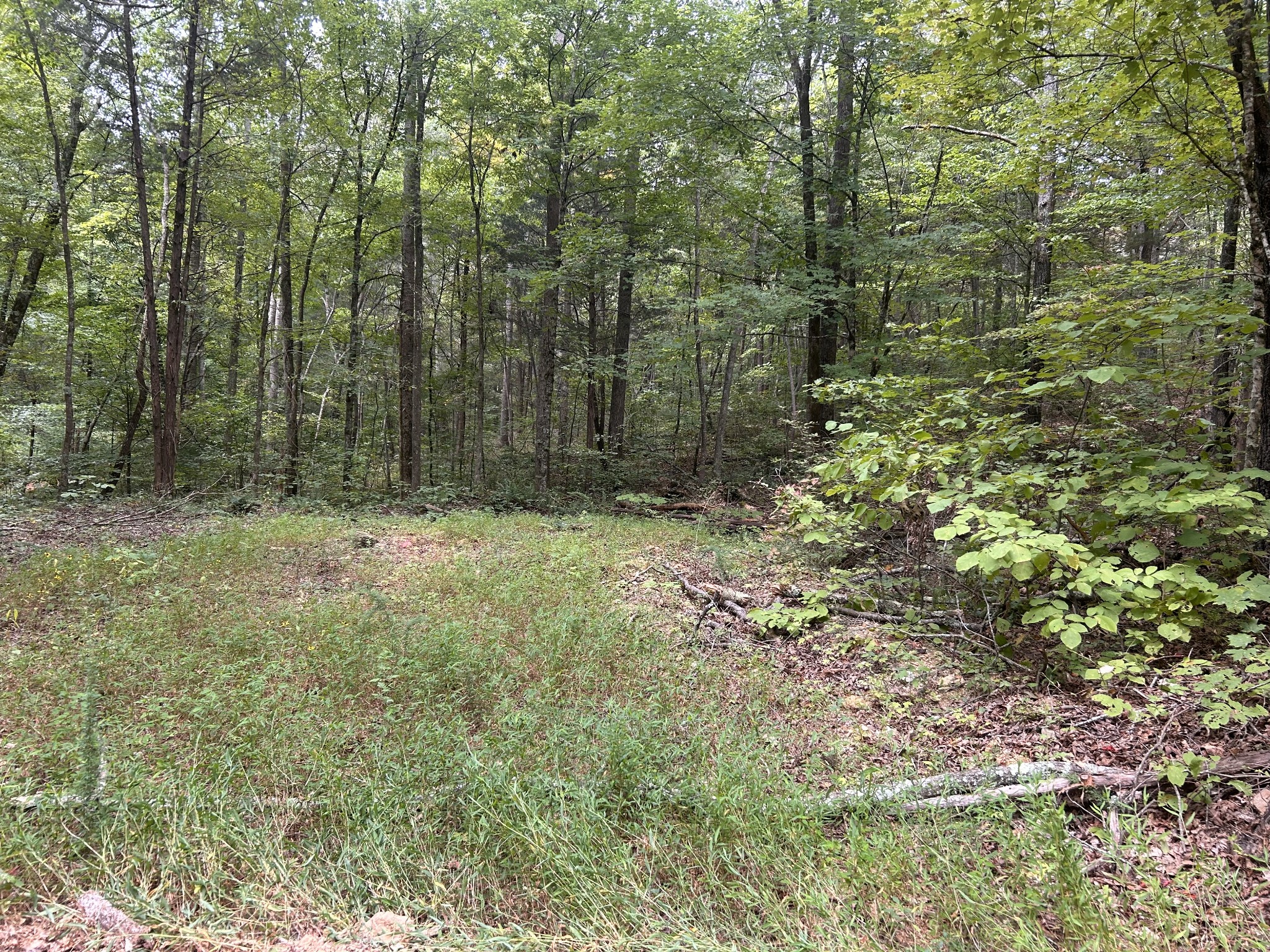 7111 Wink Parker Rd Property Photo 36