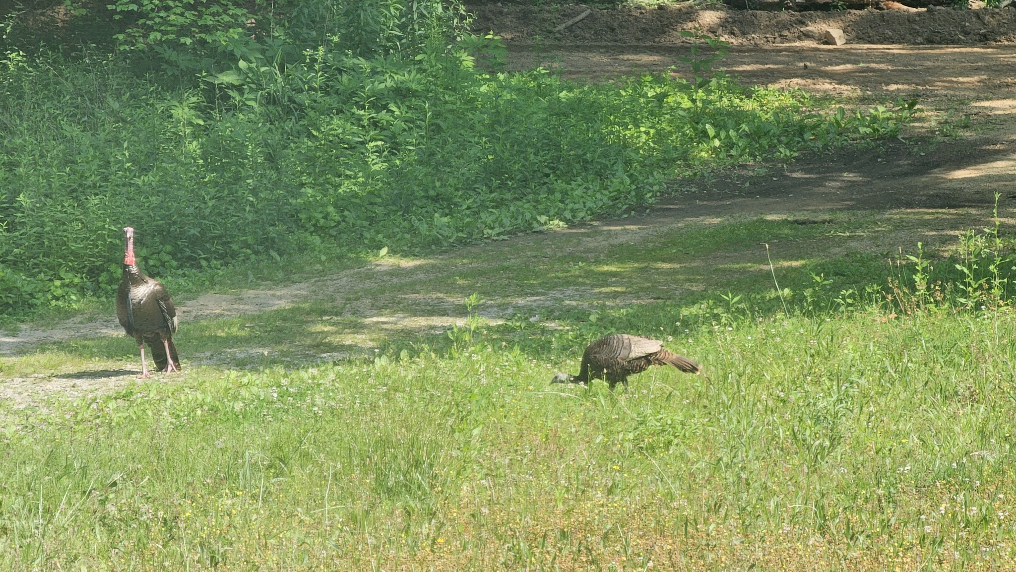 7111 Wink Parker Rd Property Photo 42