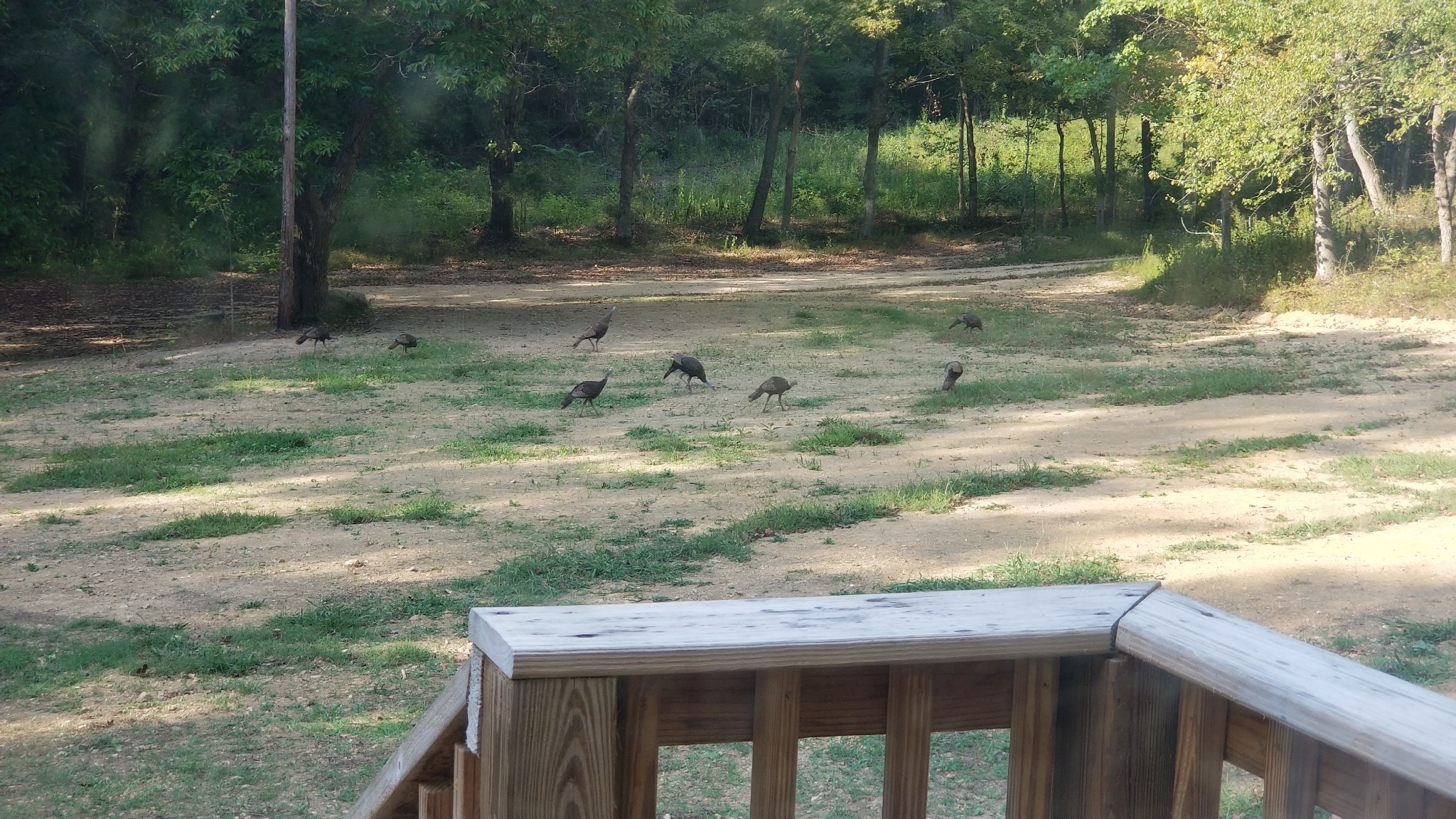 7111 Wink Parker Rd Property Photo 43