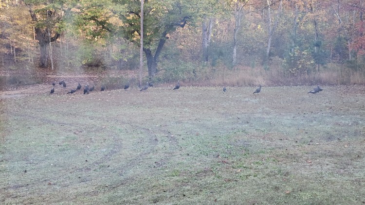 7111 Wink Parker Rd Property Photo 44