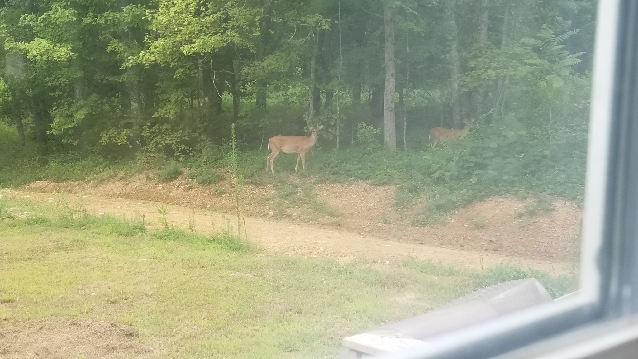 7111 Wink Parker Rd Property Photo 45