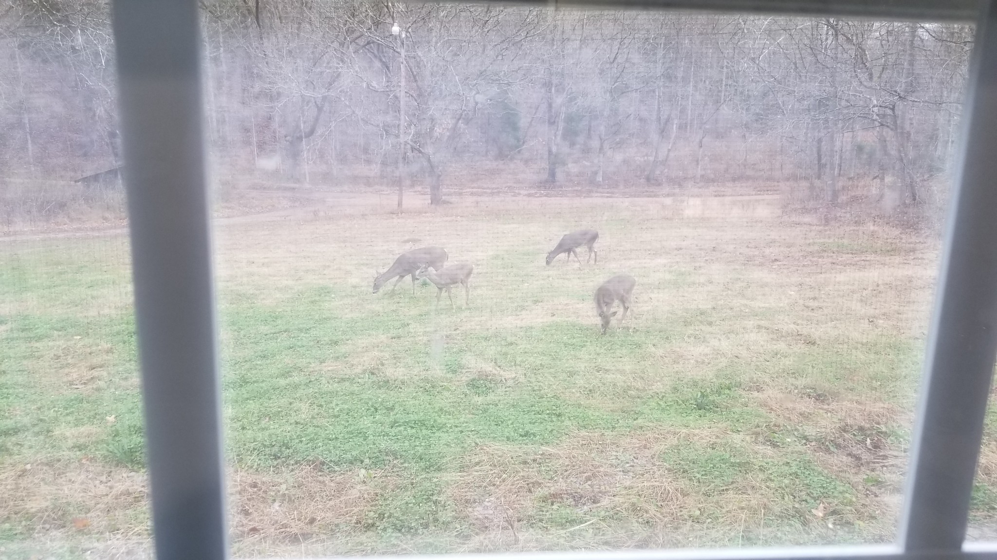 7111 Wink Parker Rd Property Photo 46