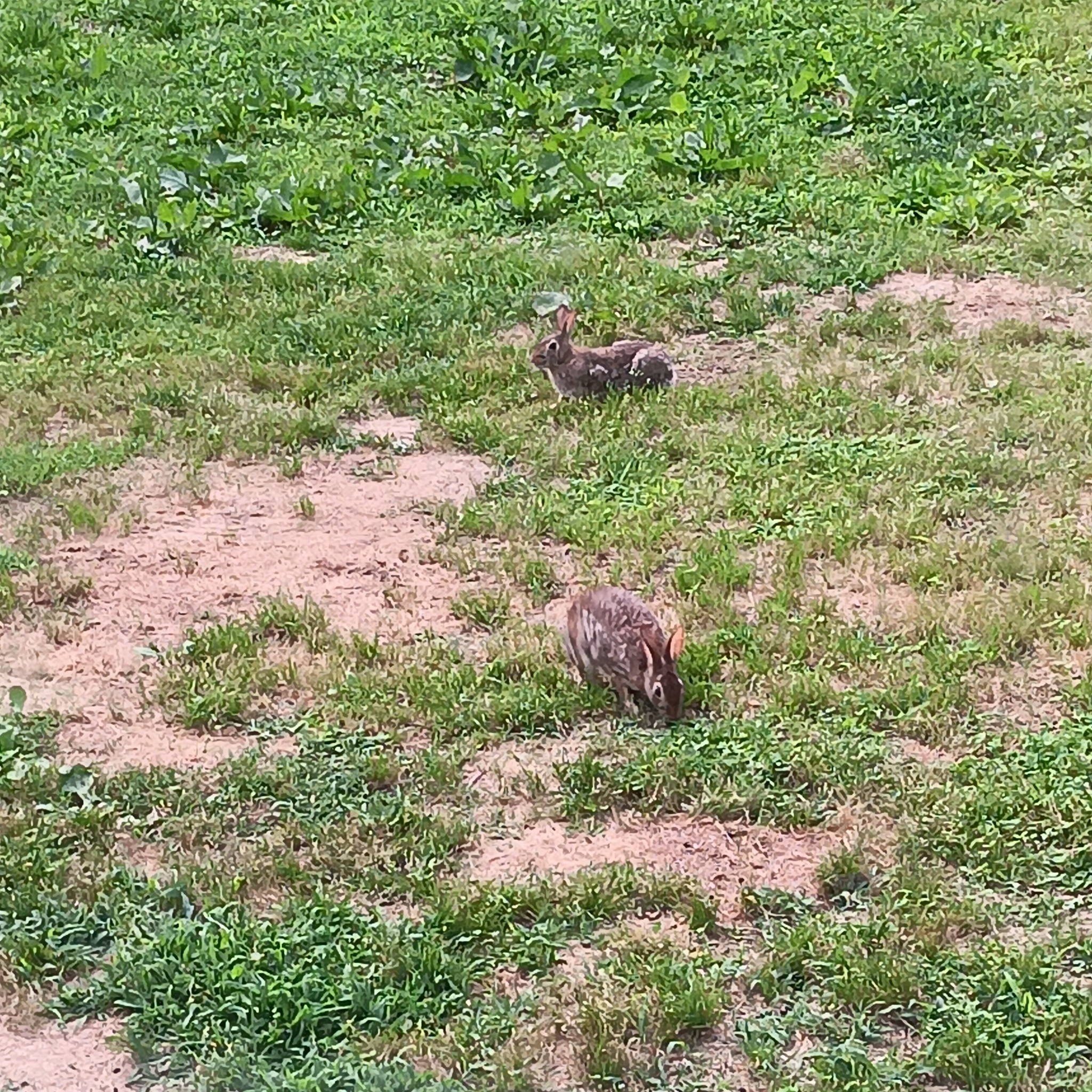 7111 Wink Parker Rd Property Photo 47