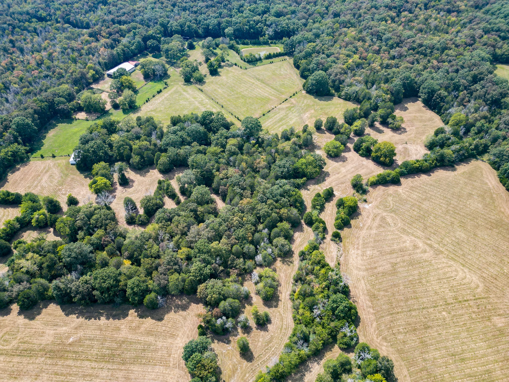 5010 John Lee Johnson Rd Property Photo 82