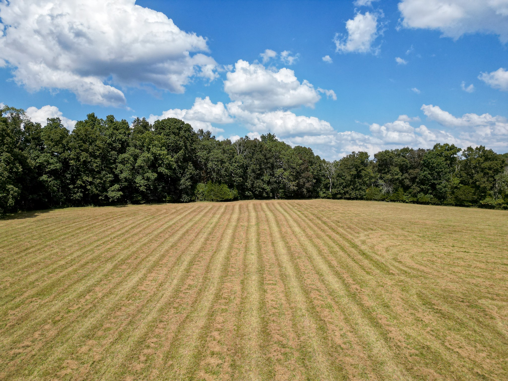 5010 John Lee Johnson Rd Property Photo 84