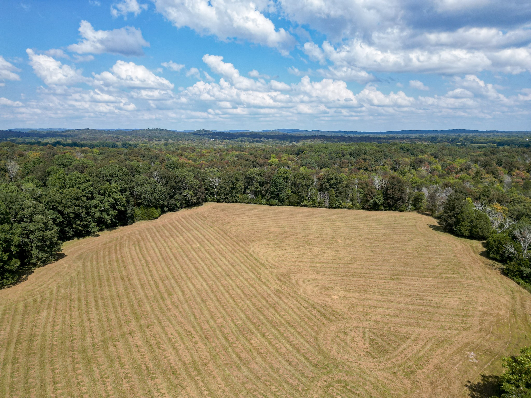5010 John Lee Johnson Rd Property Photo 90