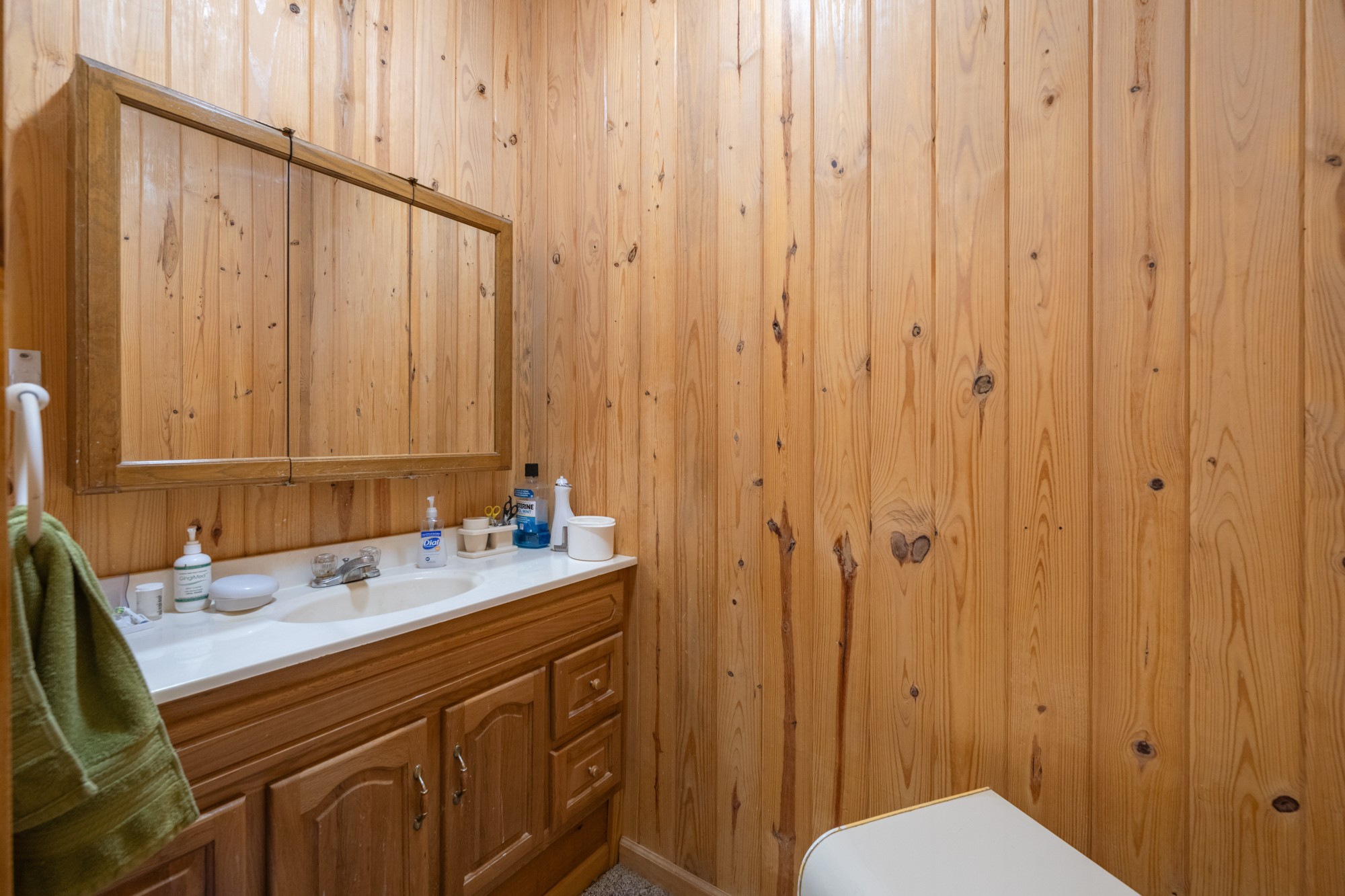 115 Chalet Ln Property Photo 24