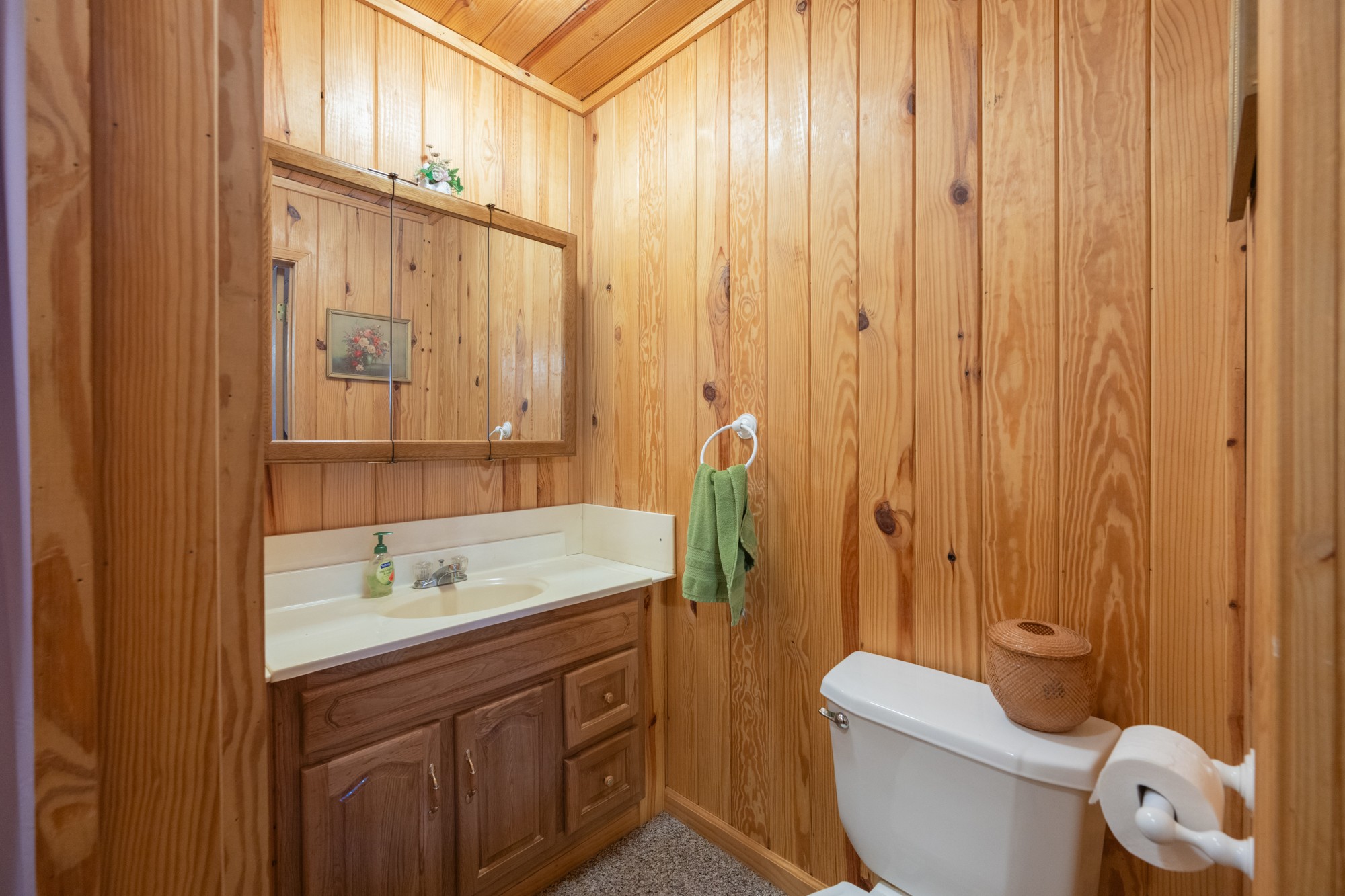 115 Chalet Ln Property Photo 26