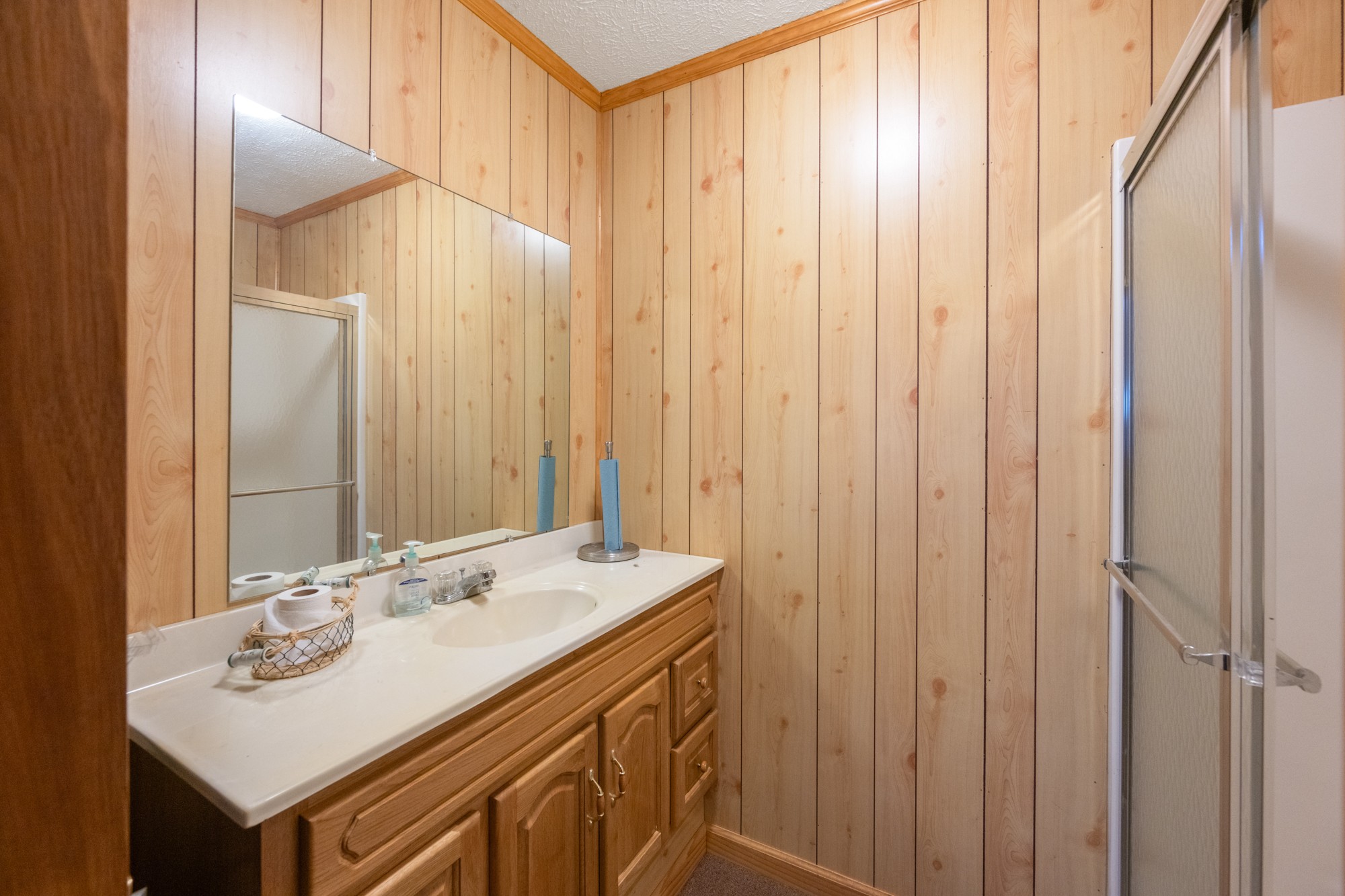 115 Chalet Ln Property Photo 62