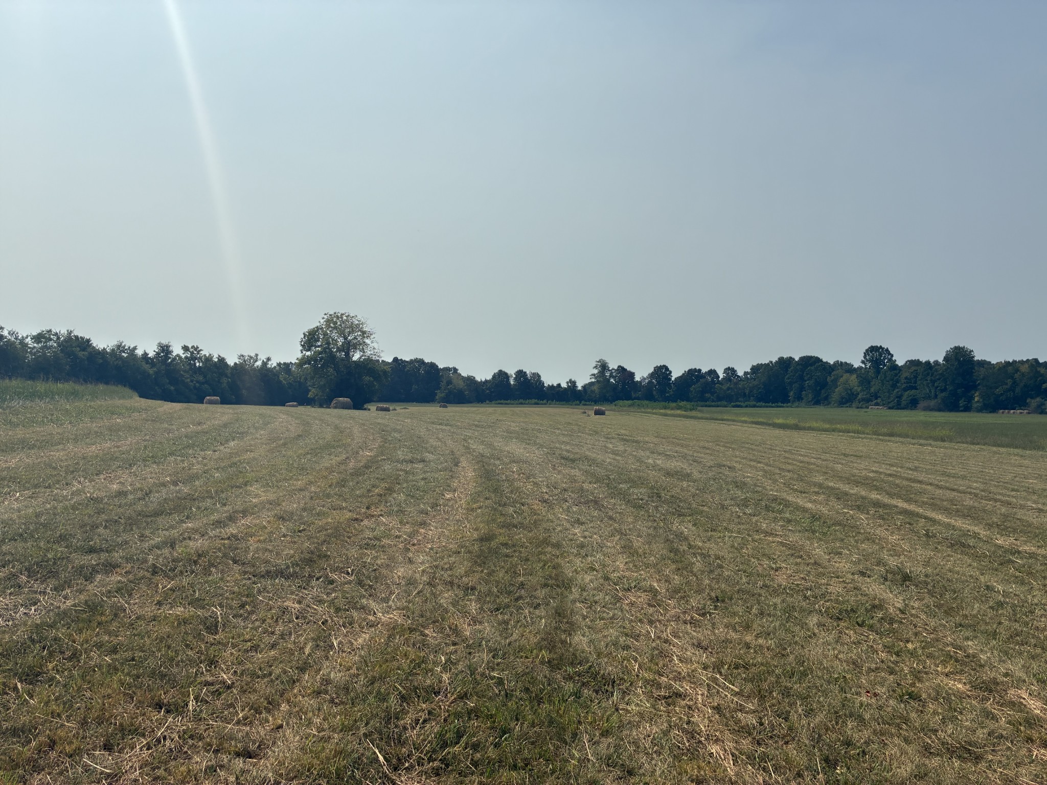 5553 Thick Rd Property Photo 1