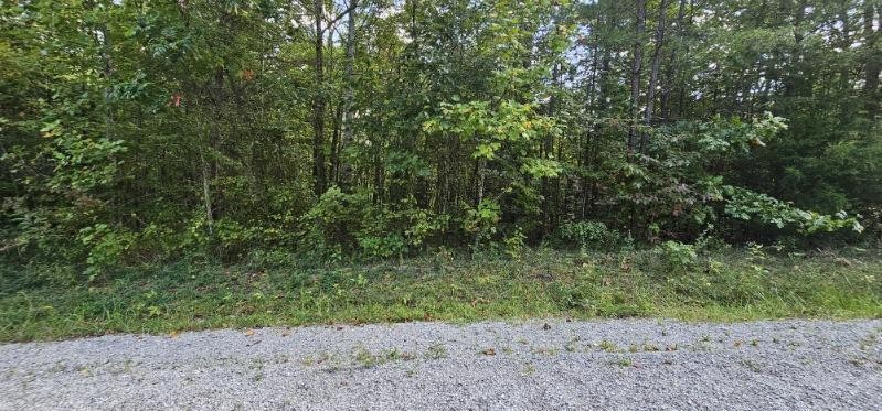 13 Bear Wallow Rd Property Photo 3