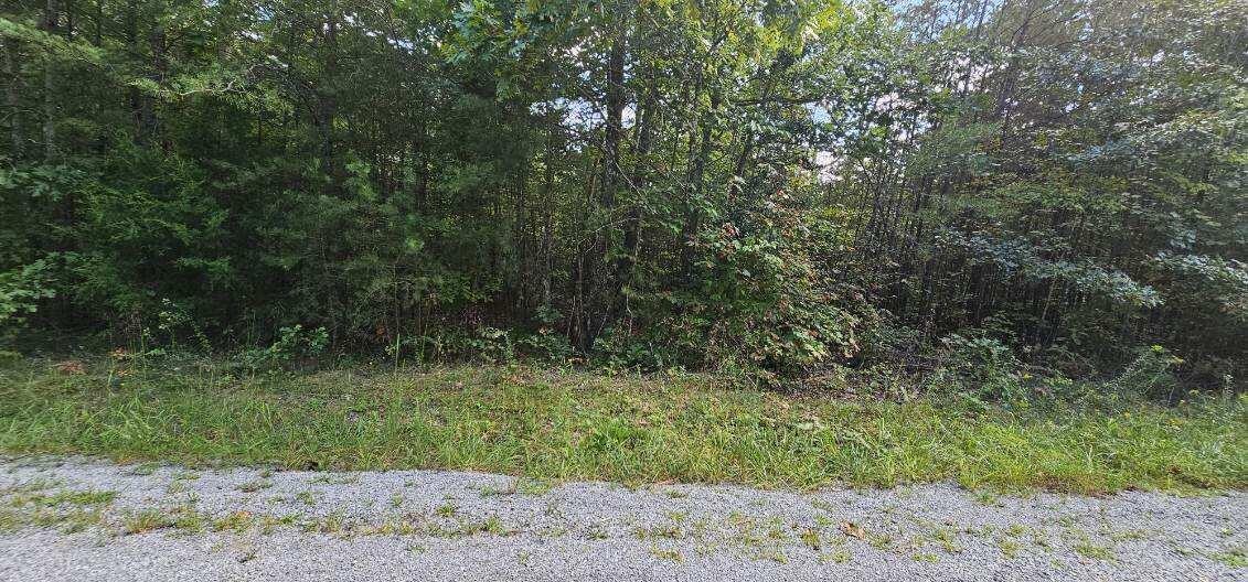 13 Bear Wallow Rd Property Photo 4