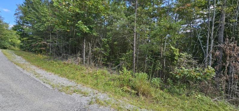 13 Bear Wallow Rd Property Photo 5