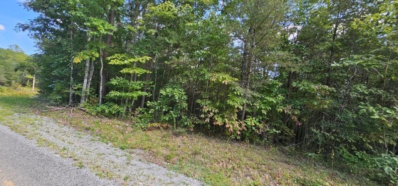 13 Bear Wallow Rd Property Photo 6