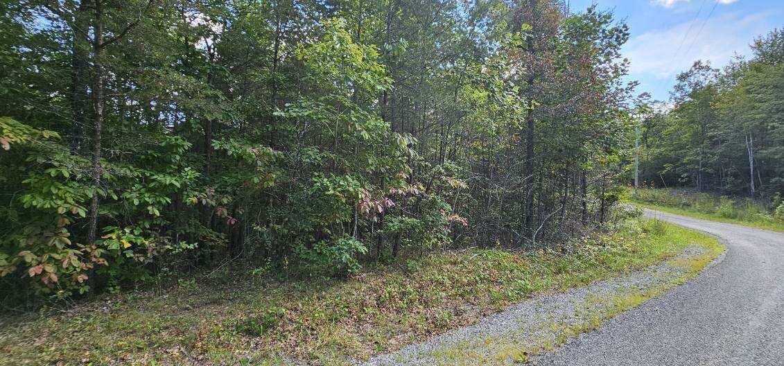 13 Bear Wallow Rd Property Photo 7