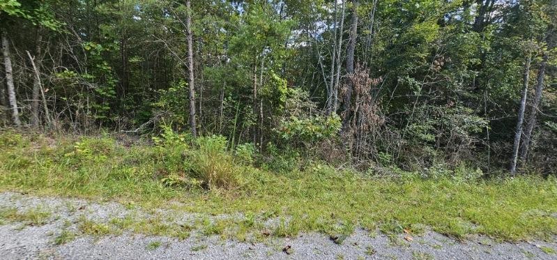 13 Bear Wallow Rd Property Photo 8