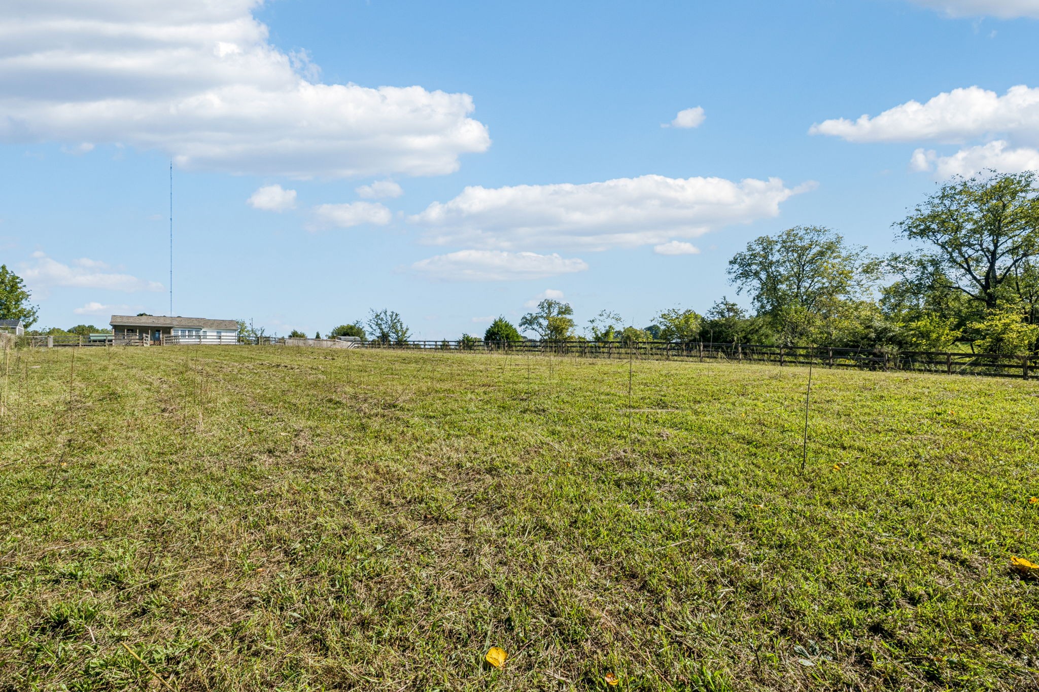 3978 Bilbrey Dr Property Photo 44
