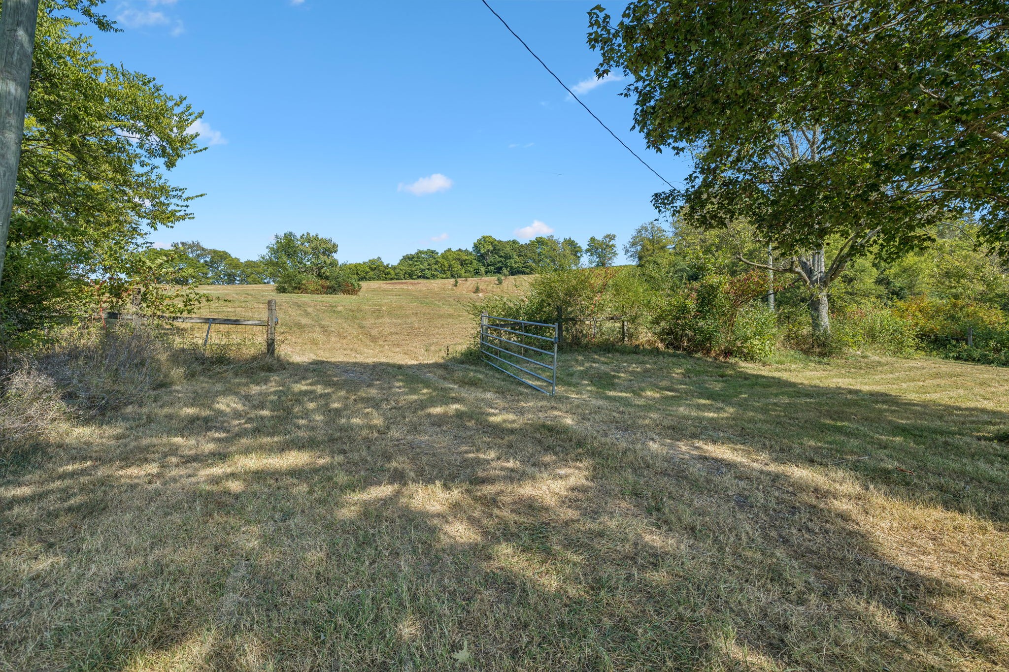 1924 Thompson Station Rd, W Property Photo 3
