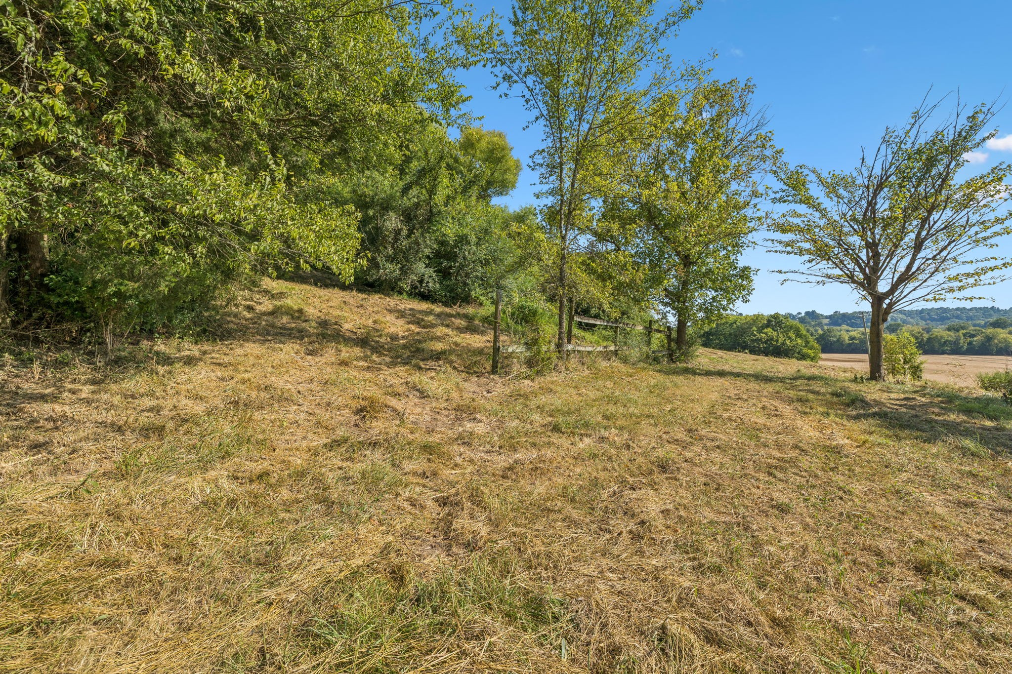 1924 Thompson Station Rd, W Property Photo 12