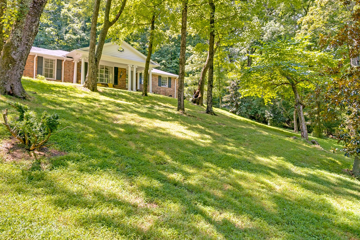 1155 Crater Hill Dr Property Photo 4