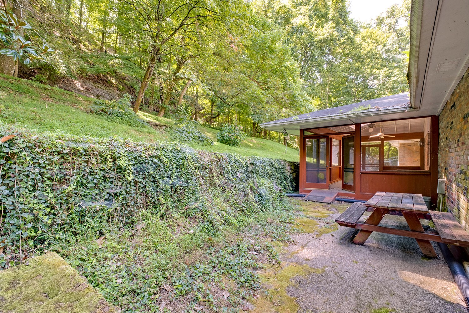 1155 Crater Hill Dr Property Photo 24