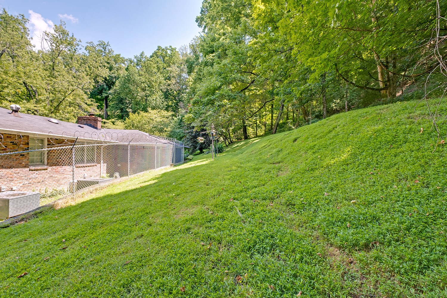 1155 Crater Hill Dr Property Photo 26