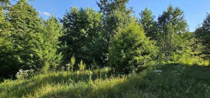 561 Bluff View Drive Property Photo 1