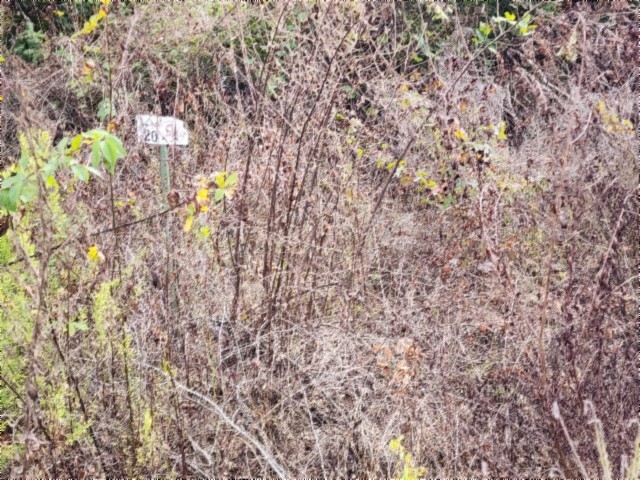 0 Apache Rd Property Photo 4
