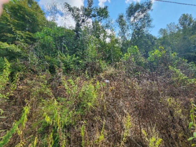 0 Apache Rd Property Photo 5