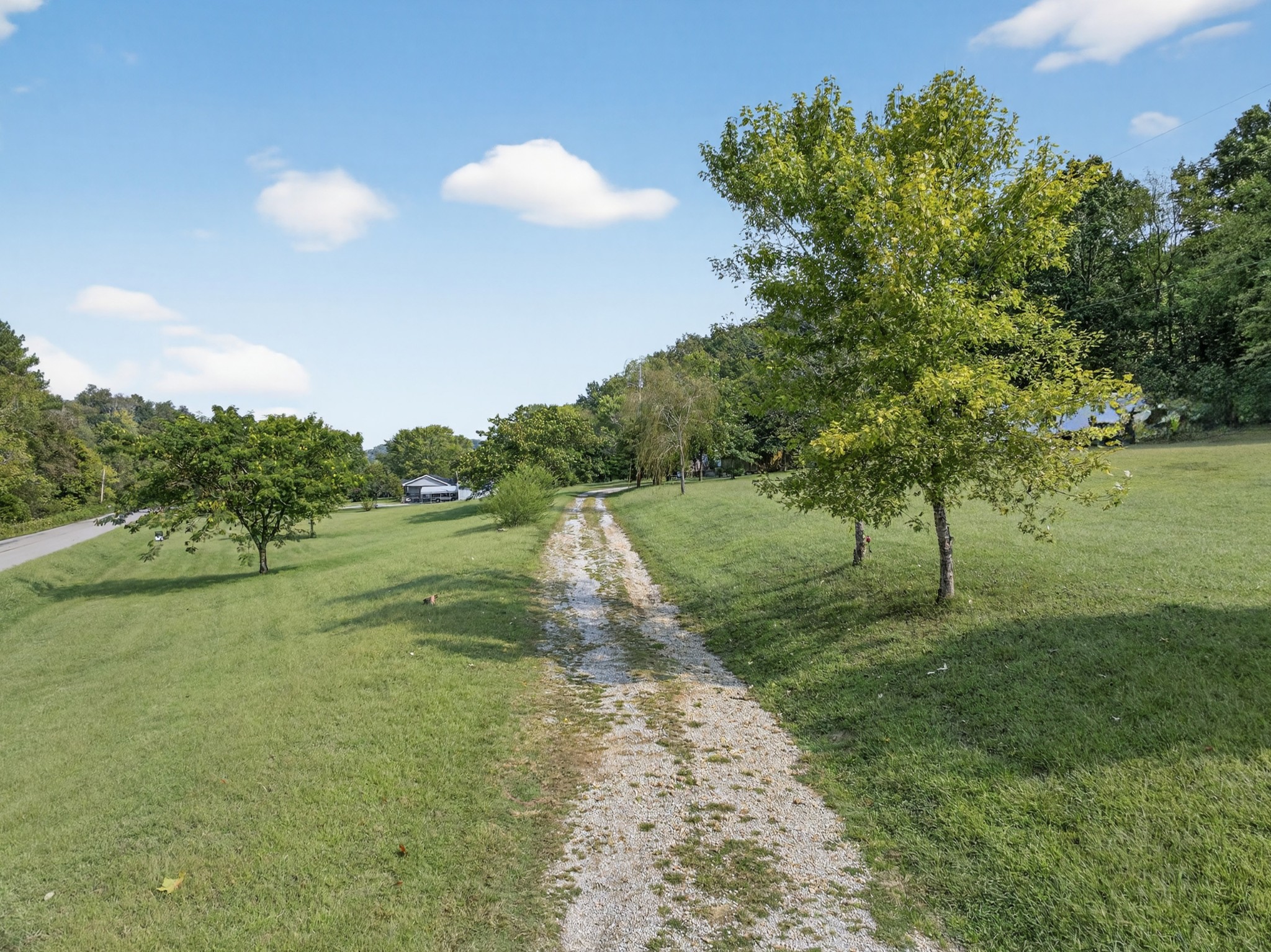 3890 Robinson Rd Property Photo 15