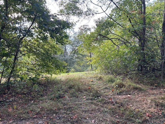 3890 Robinson Rd Property Photo 19