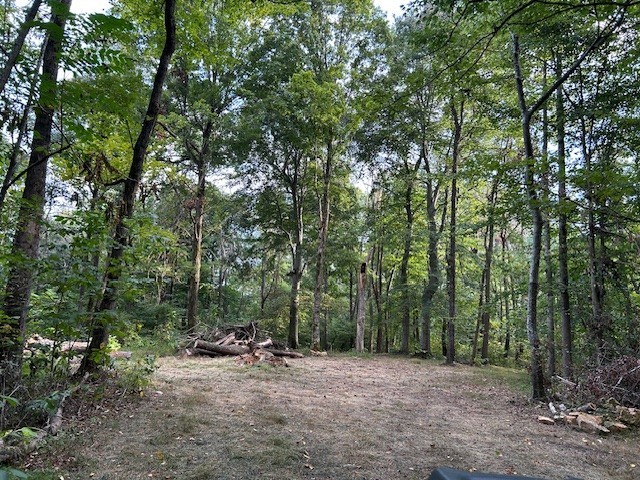 3890 Robinson Rd Property Photo 22