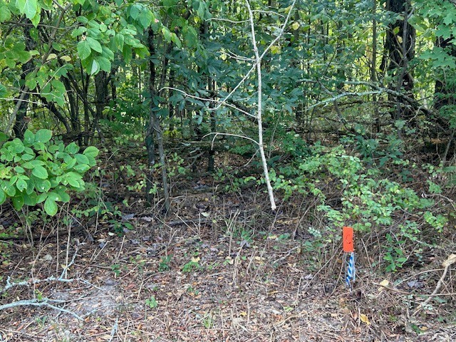 3890 Robinson Rd Property Photo 24