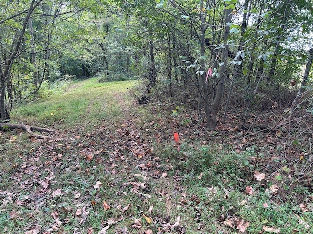 3890 Robinson Rd Property Photo 25