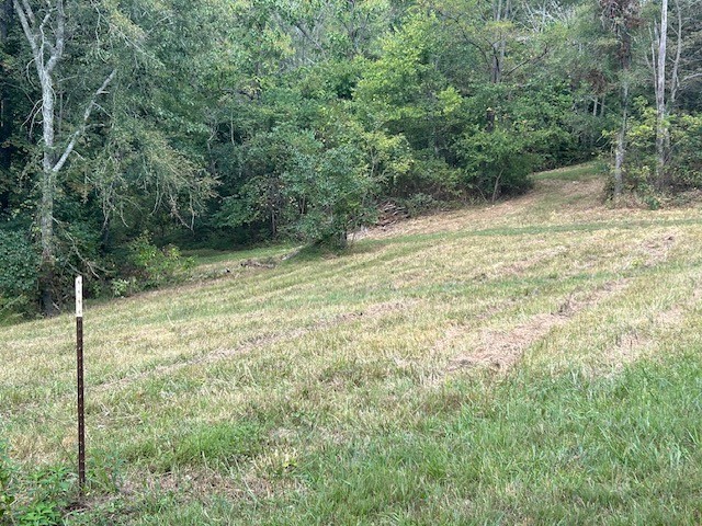 3890 Robinson Rd Property Photo 26