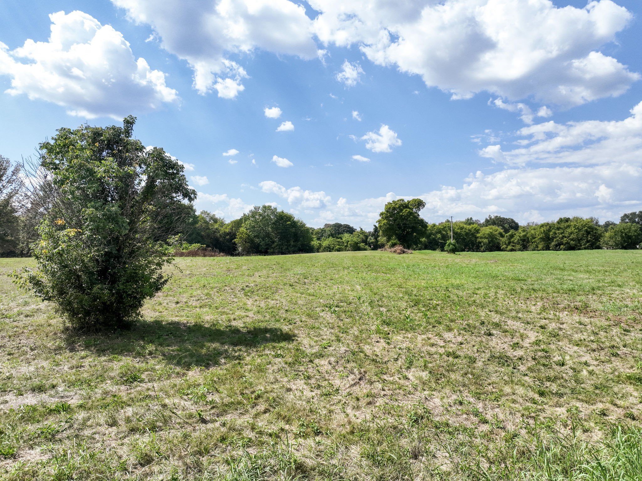 3289 Siegel Rd Property Photo 3
