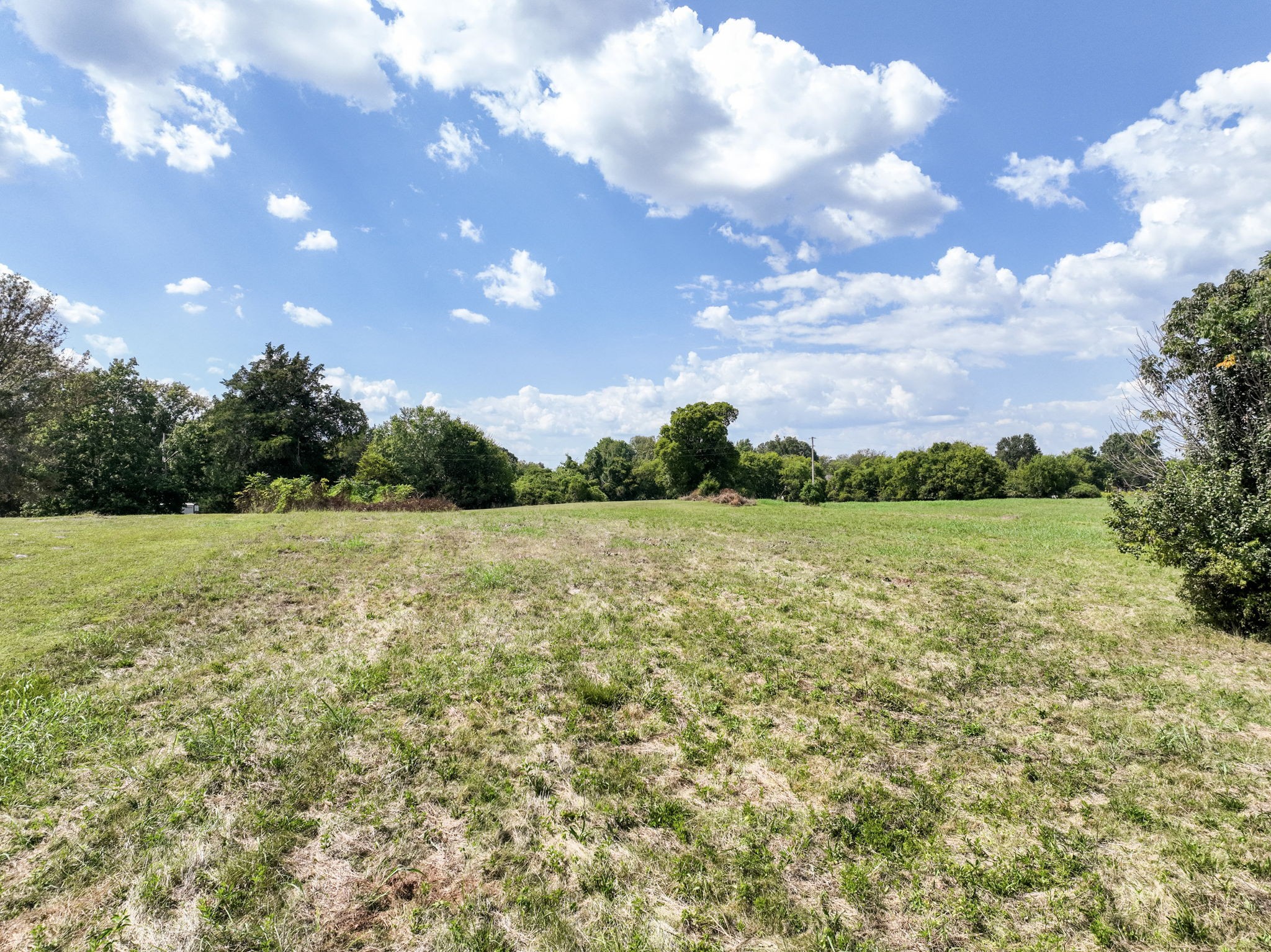 3289 Siegel Rd Property Photo 4