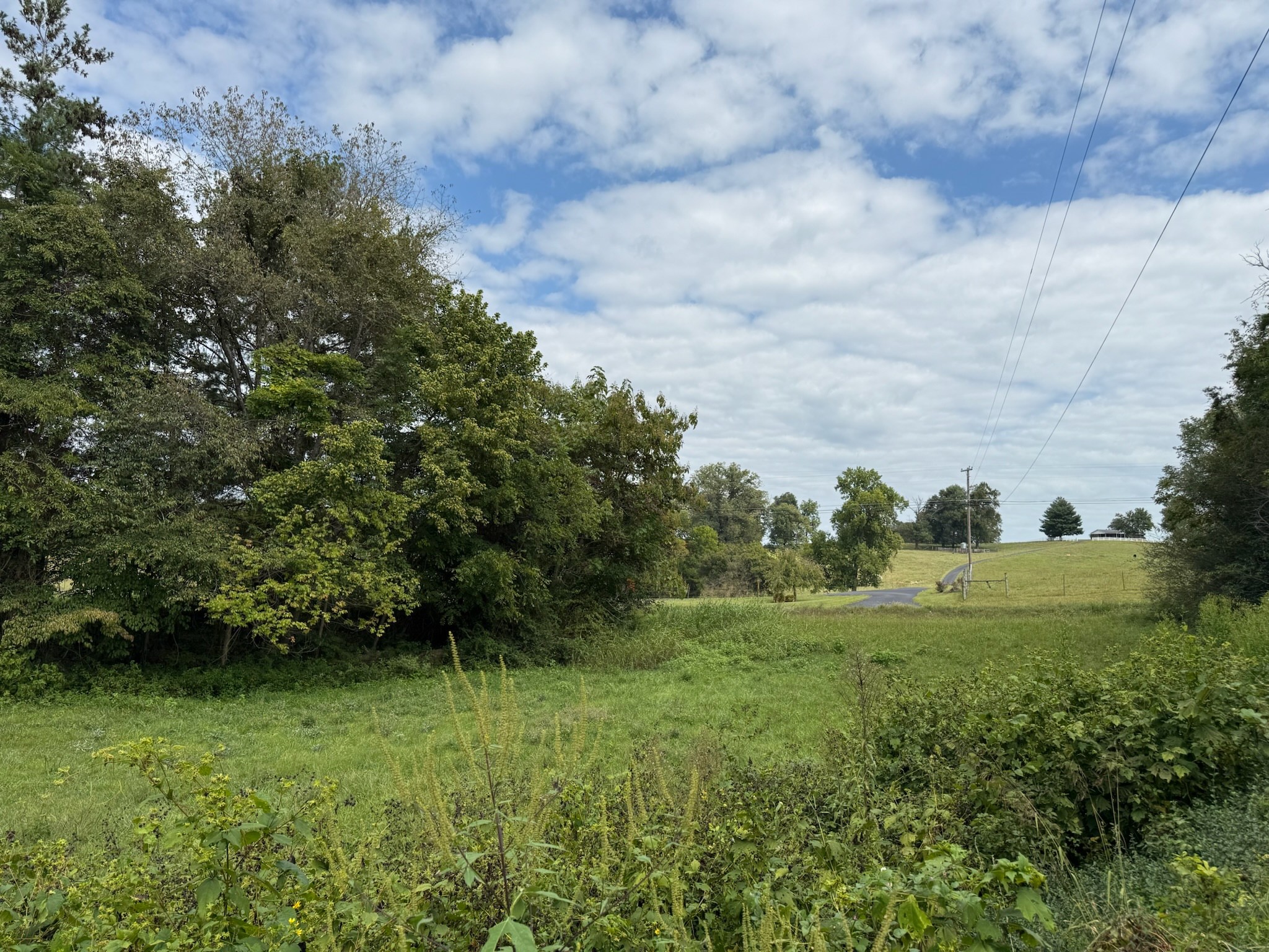 1 County House Rd