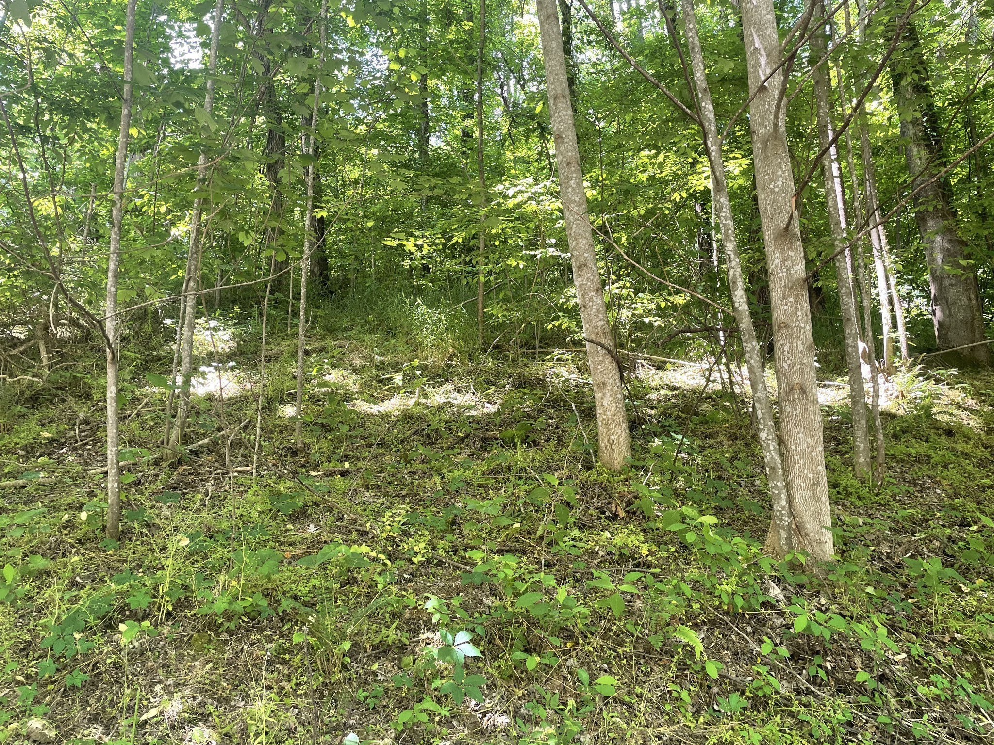 0 Harbor Dr Property Photo 3