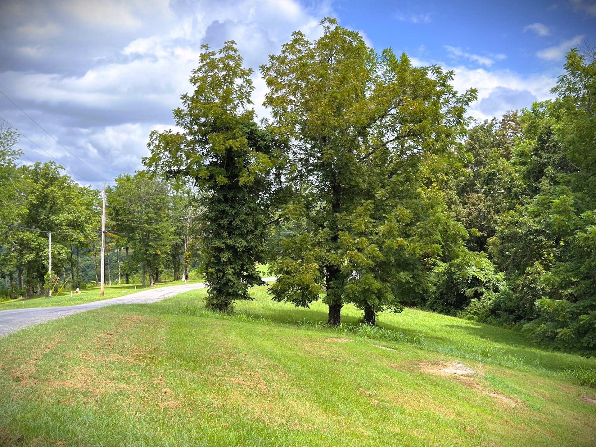15c Swan Ridge Rd Property Photo 11