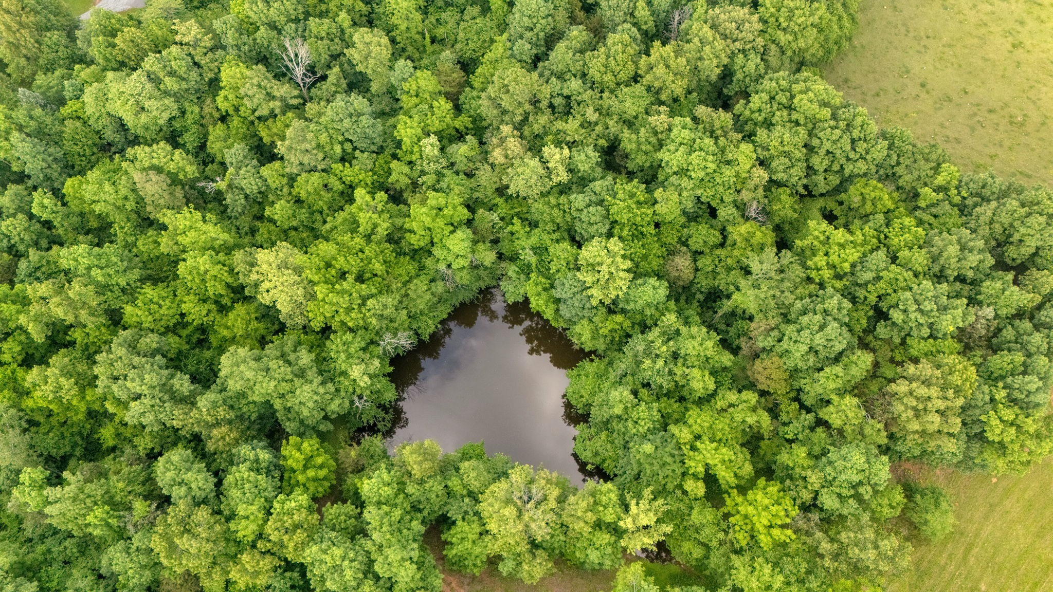 1802 Old Nashville Dirt Rd Property Photo 60