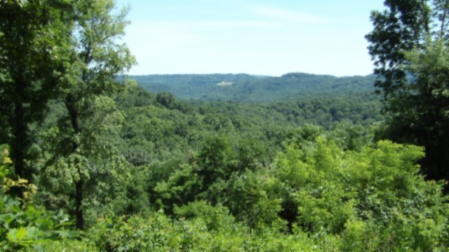 0 Rock Fish Lane Property Photo 1