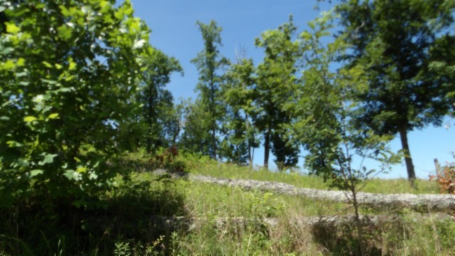 0 Rock Fish Lane Property Photo 2