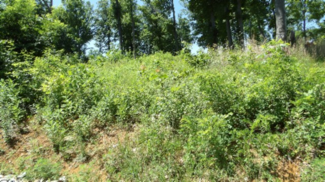 0 Rock Fish Lane Property Photo 5