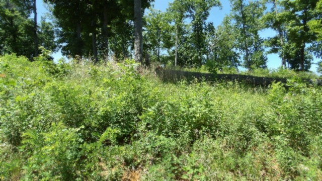 0 Rock Fish Lane Property Photo 6
